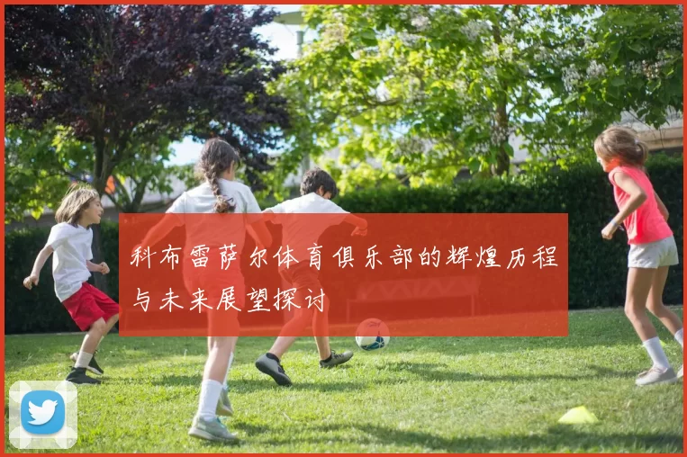 科布雷萨尔体育俱乐部的辉煌历程与未来展望探讨