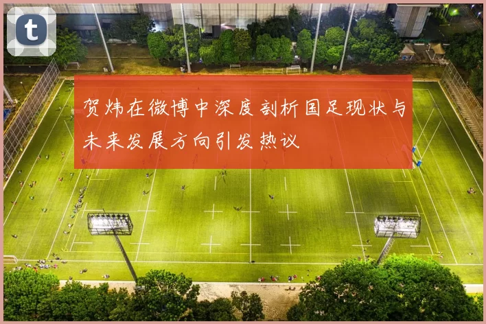 贺炜在微博中深度剖析国足现状与未来发展方向引发热议